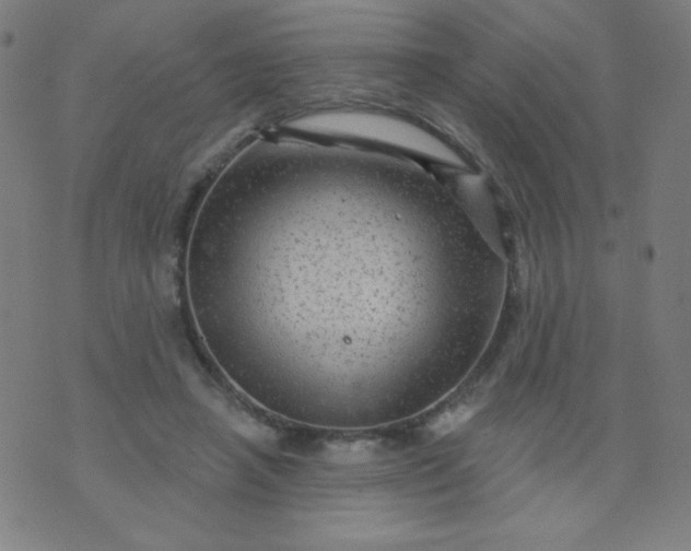 X0000070420450200606231857