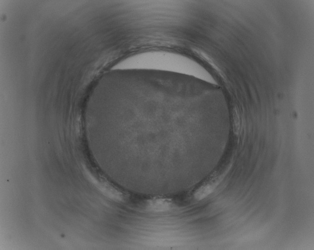 X0000070420451200606231857