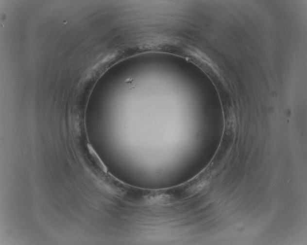 X0000070420452200606231857