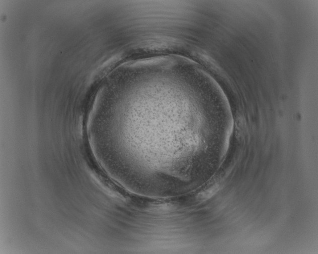 X0000070420454200606231857