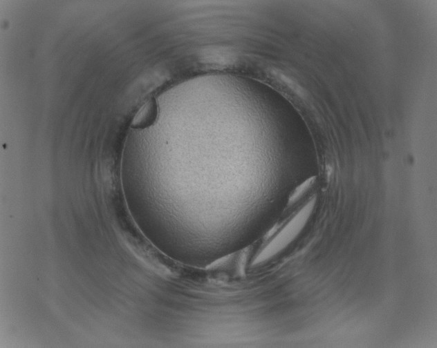 X0000070420455200606231857