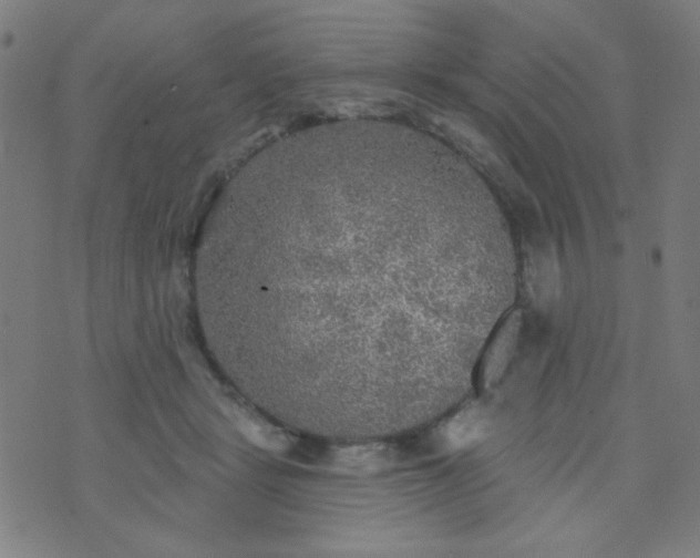 X0000070420461200606231857