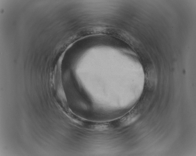 X0000070420462200606231857