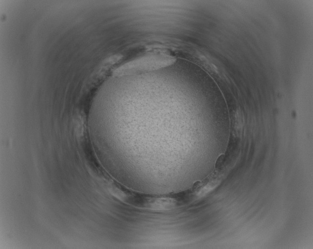 X0000070420463200606231857