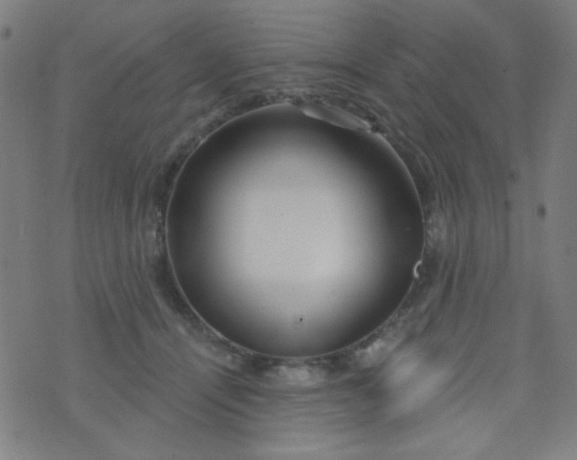 X0000070420464200606231857