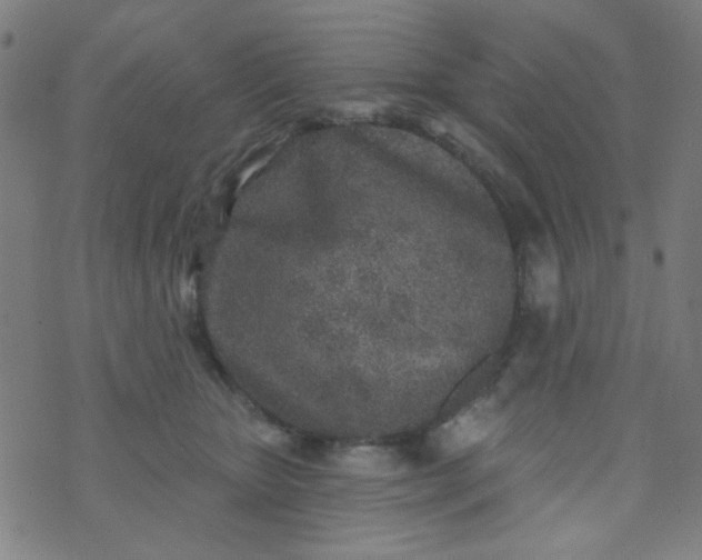 X0000070420467200606231857