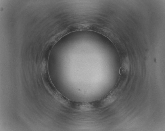 X0000070420468200606231857