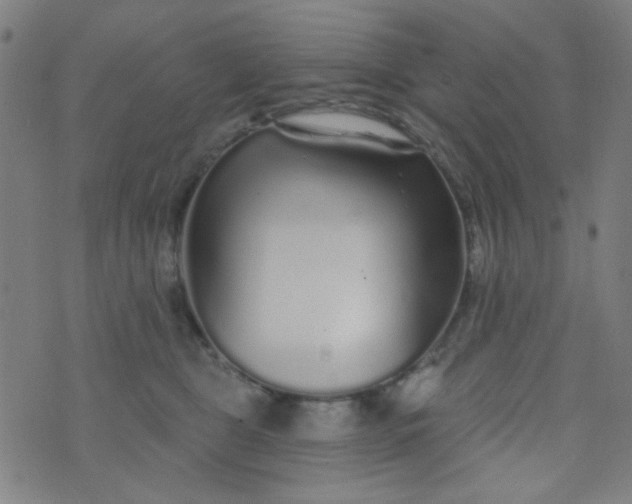 X0000070420469200606231857