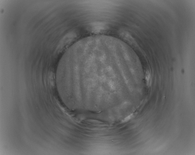 X0000070420470200606231857