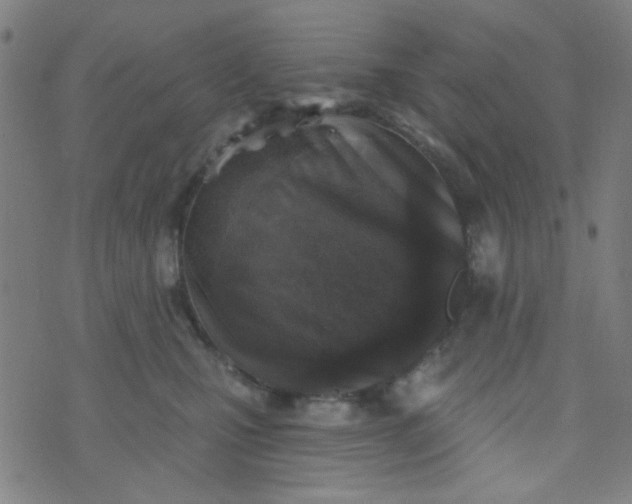 X0000070420471200606231857