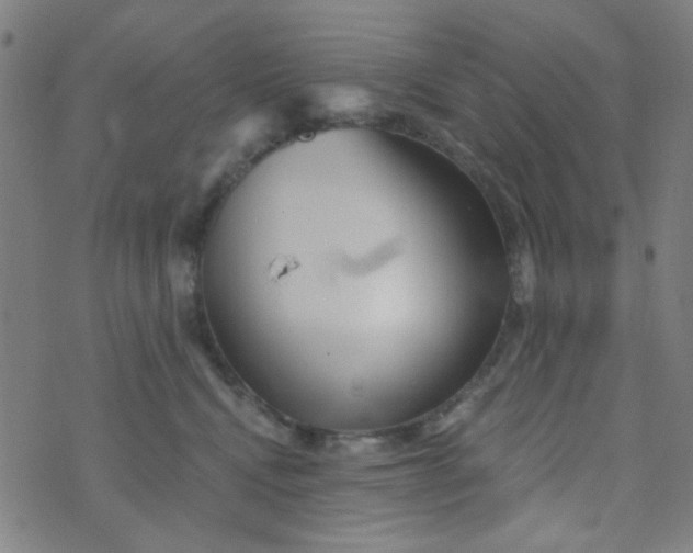 X0000070420472200606231857