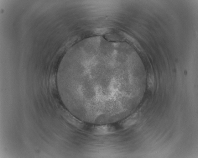 X0000070420473200606231857