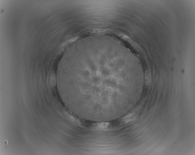 X0000070420474200606231857