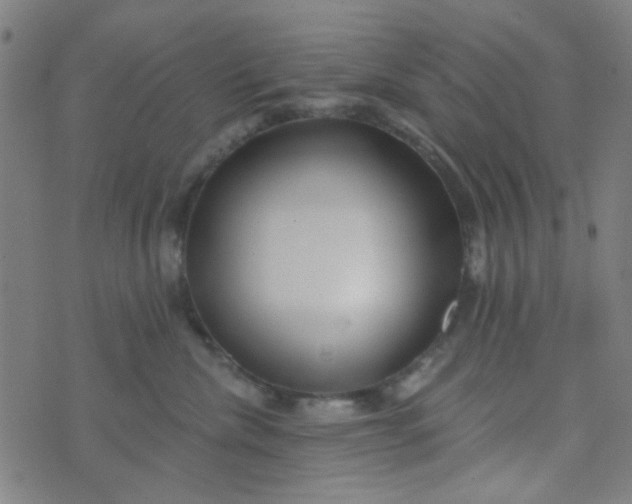 X0000070420476200606231857