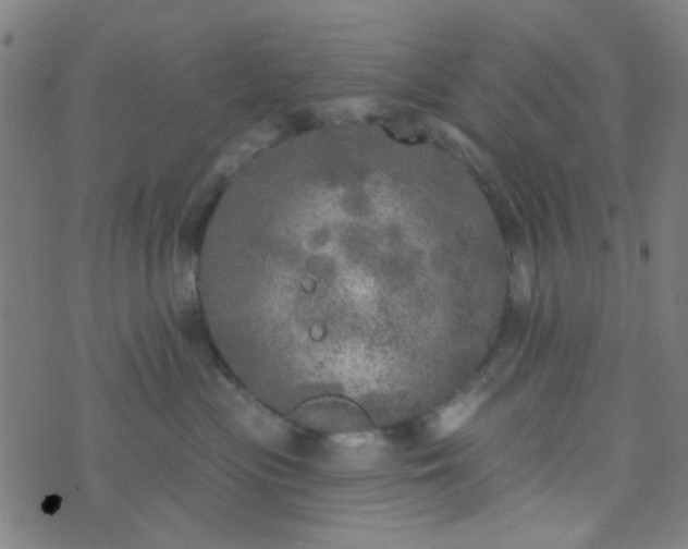 X0000070420477200606231857