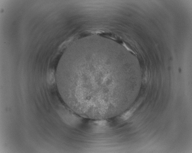 X0000070420478200606231857