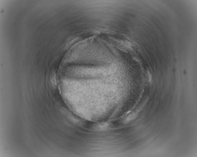 X0000070420479200606231857