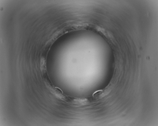 X0000070420480200606231857