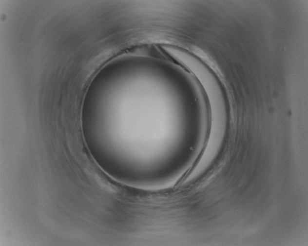 X0000070420481200606231857