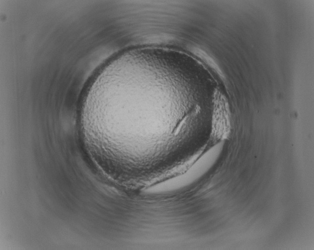 X0000070420483200606231857