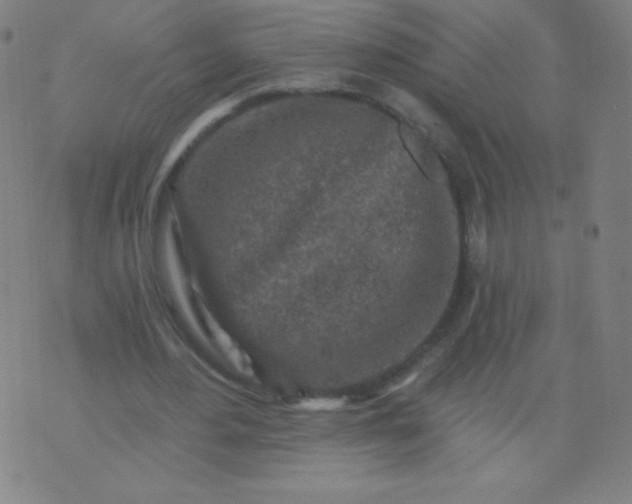 X0000070420484200606231857