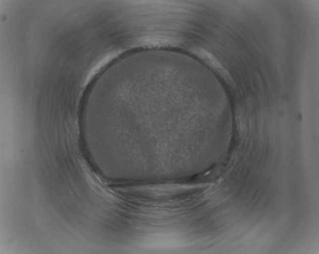 X0000070420488200606231857