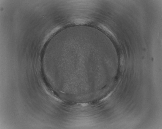 X0000070420492200606231856