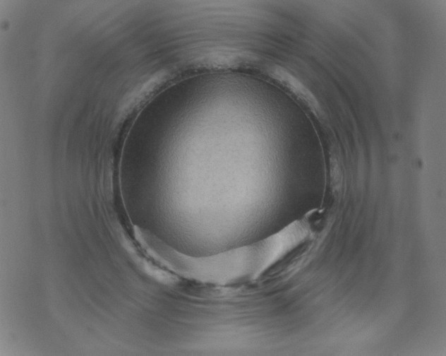 X0000070420493200606231856