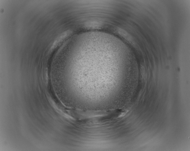 X0000070420494200606231856