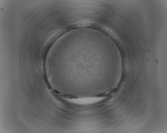 X0000070420501200606231856