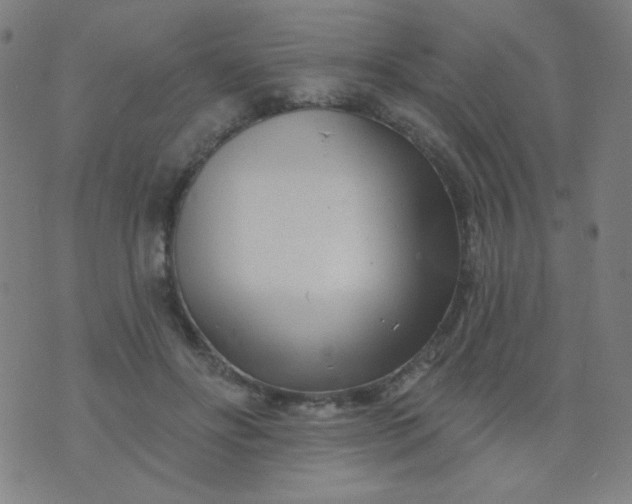 X0000070420502200606231856