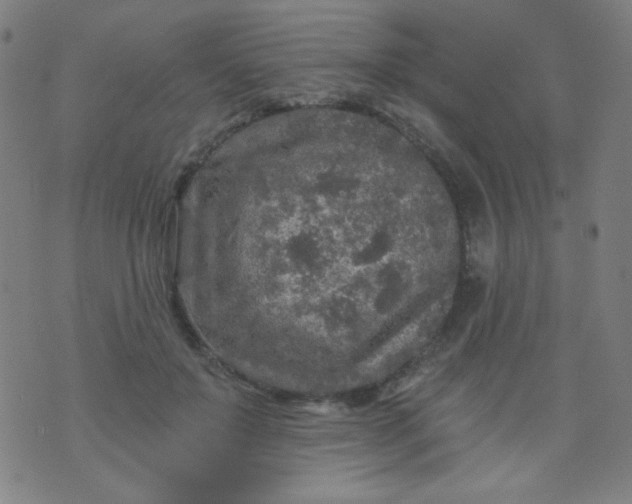 X0000070420503200606231856