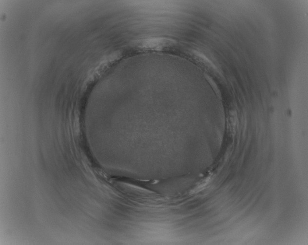 X0000070420504200606231856