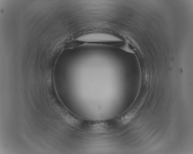 X0000070420505200606231856