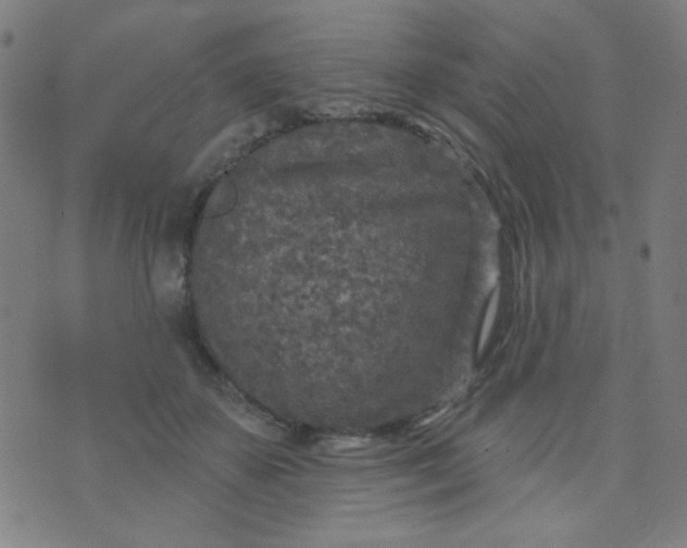 X0000070420507200606231856