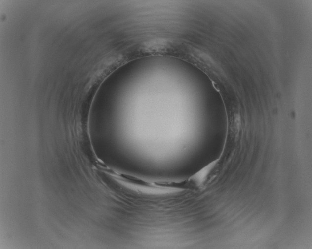 X0000070420508200606231856