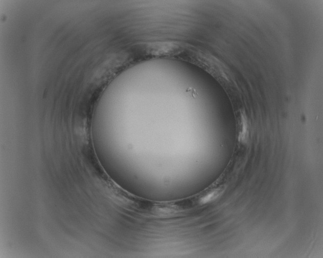 X0000070420510200606231856