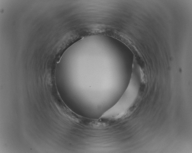 X0000070420512200606231856