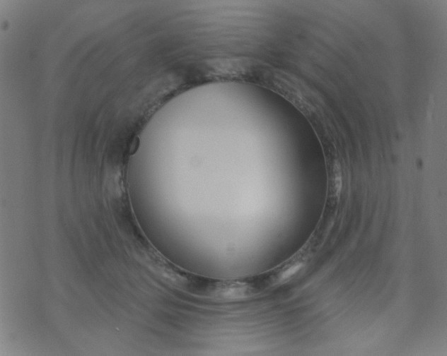 X0000070420514200606231856