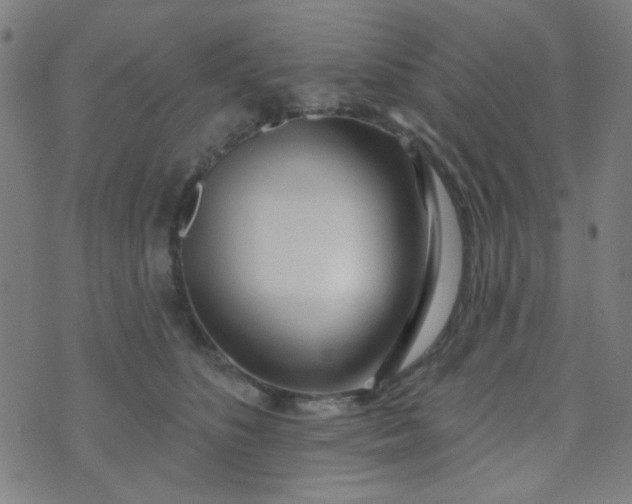 X0000070420516200606231856