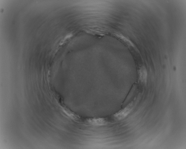 X0000070420517200606231856