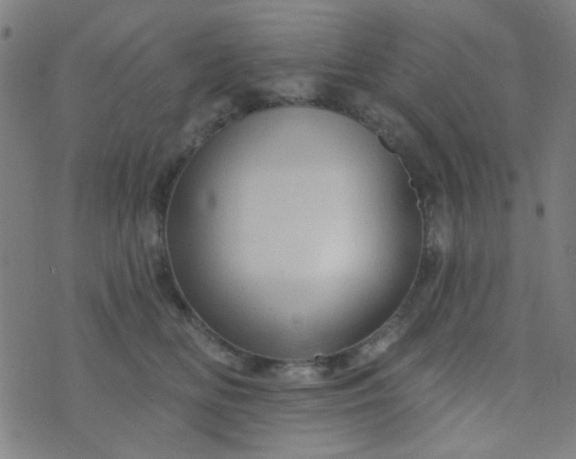 X0000070420518200606231856