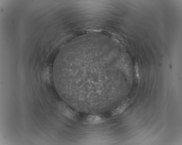 X0000070420519200606231856