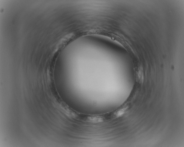 X0000070420520200606231856