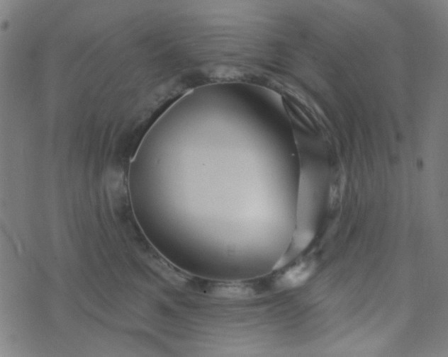 X0000070420521200606231856