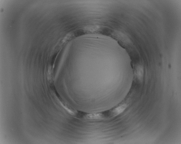 X0000070420526200606231856