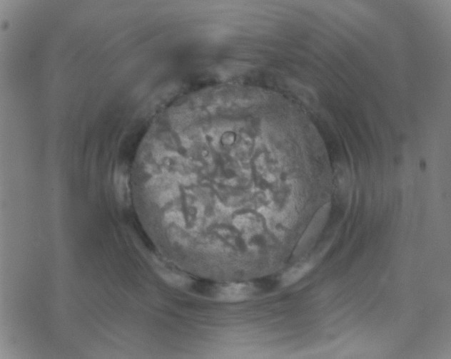 X0000070420527200606231856