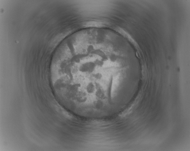 X0000070420529200606231855