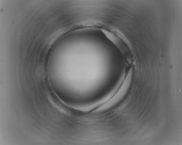 X0000070420530200606231855