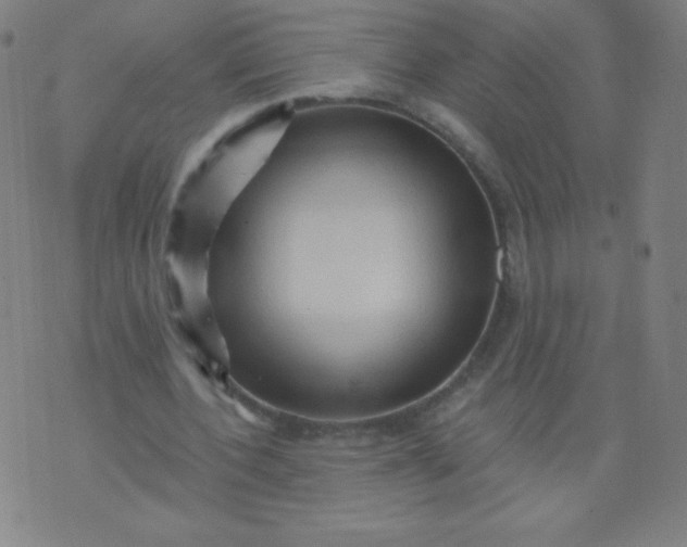 X0000070420532200606231855